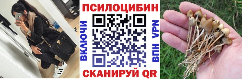 что такое   Балаково  Псилоцибиновые грибы ЛСД 